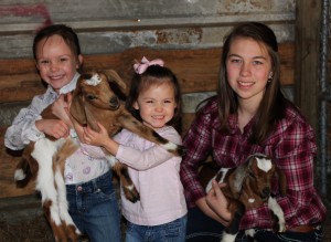 Comet, Cupid and the girls