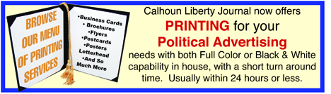 Election banner2
