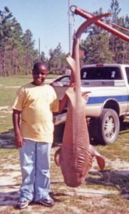 Dallas Johnson lands a big 265 lb. nurse shark Aug. 17