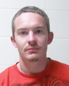 Paralyzed driver operating pedals with stick arrested on DUI charge